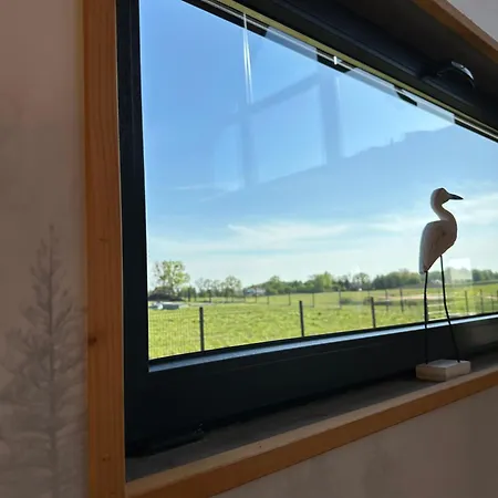 Stodola - Z Balia * Sople